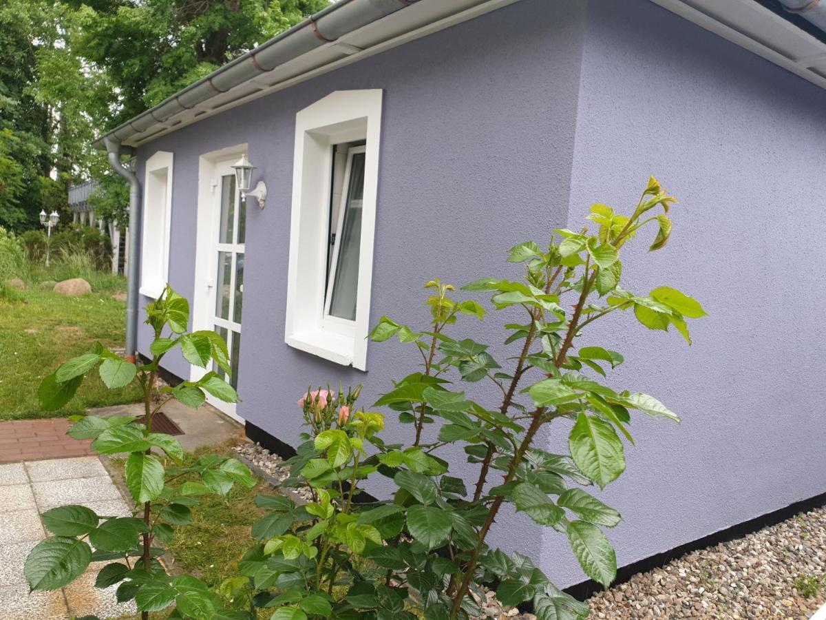 Ferienwohnungen Am Rosenhof Kuhlungsborn Bagian luar foto